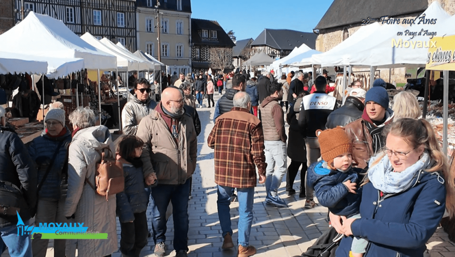 foire aux ânes Moyaux